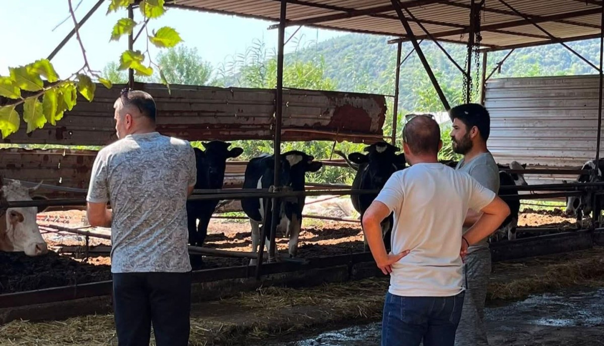 Ortaca'da Büyükbaş İşletmelerde Kapasite Raporu İncelemeleri Tamamlandı